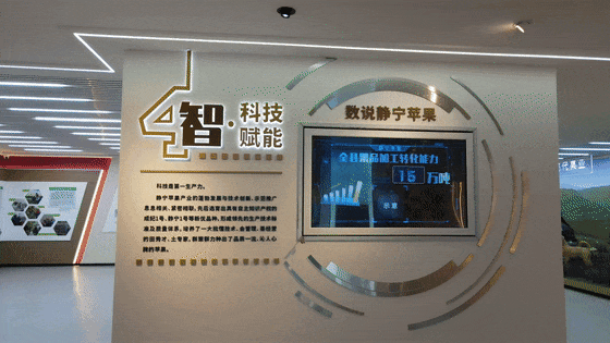蘋果展廳設計施工-甘肅靜寧蘋果蘋果科創館